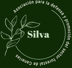 Asociación Silva